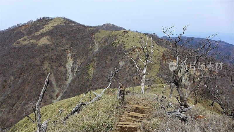 Mount Tanzawa (丹沢山) in Kanagawa, Japan